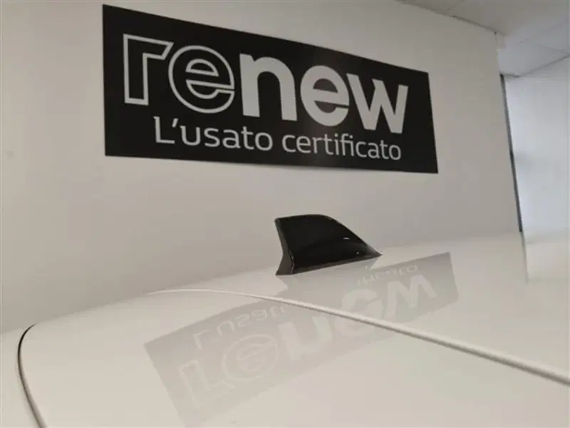 Renault Clio usata a Siena (18)