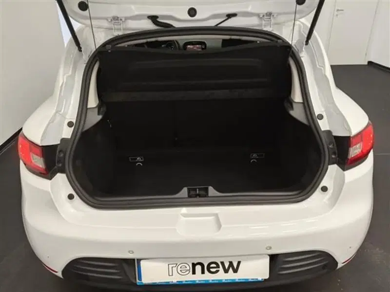 Renault Clio usata a Siena (18)