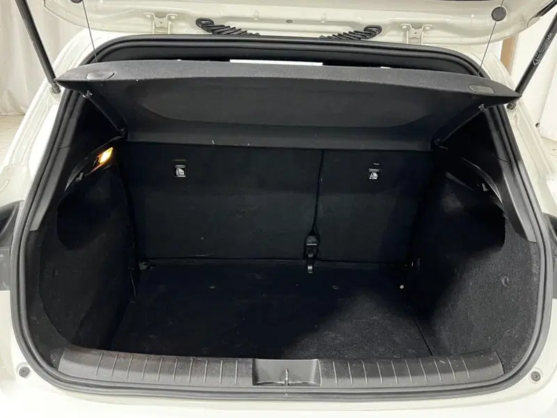 Fiat Tipo usata a Sondrio (15)
