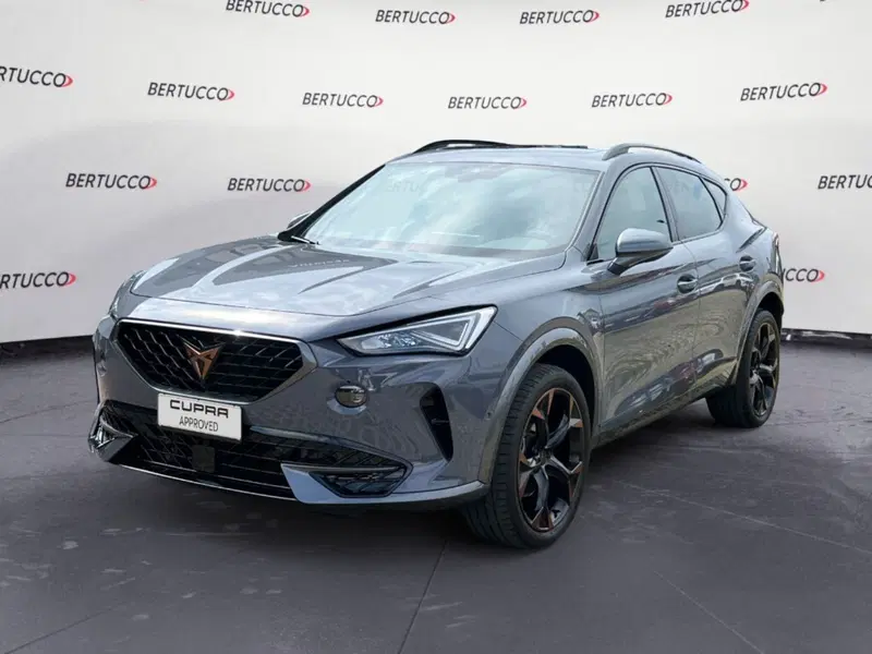 Cupra Formentor usata a Verona (3)