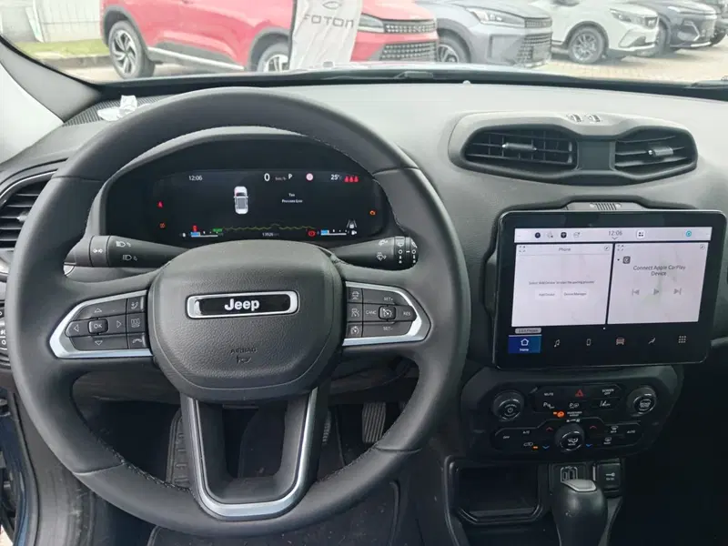 Jeep Renegade usata a Alessandria (11)