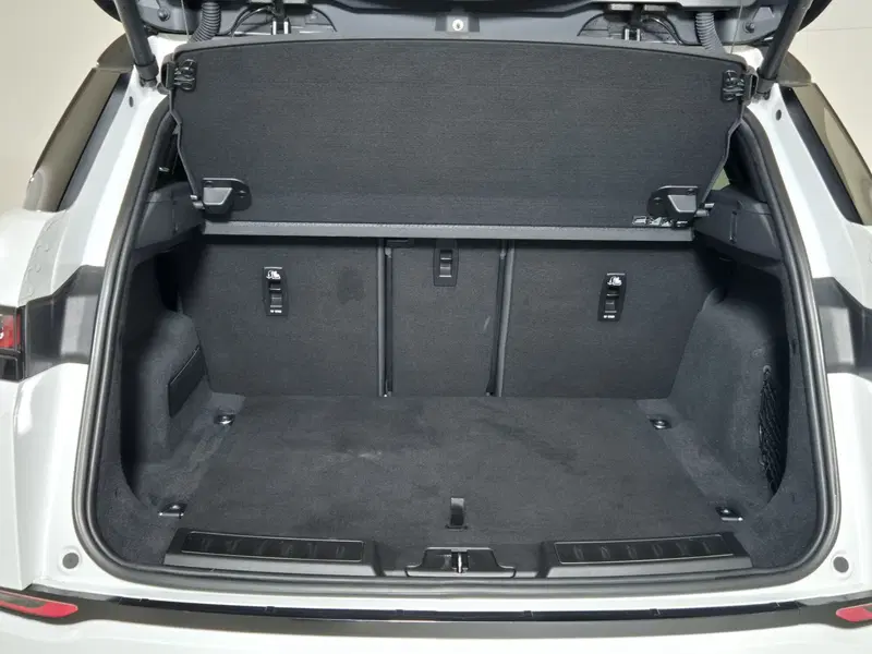 Land Rover Range Rover Evoque usata a Torino (13)