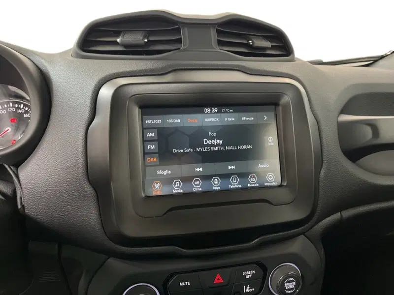 Jeep Renegade usata a Torino (14)