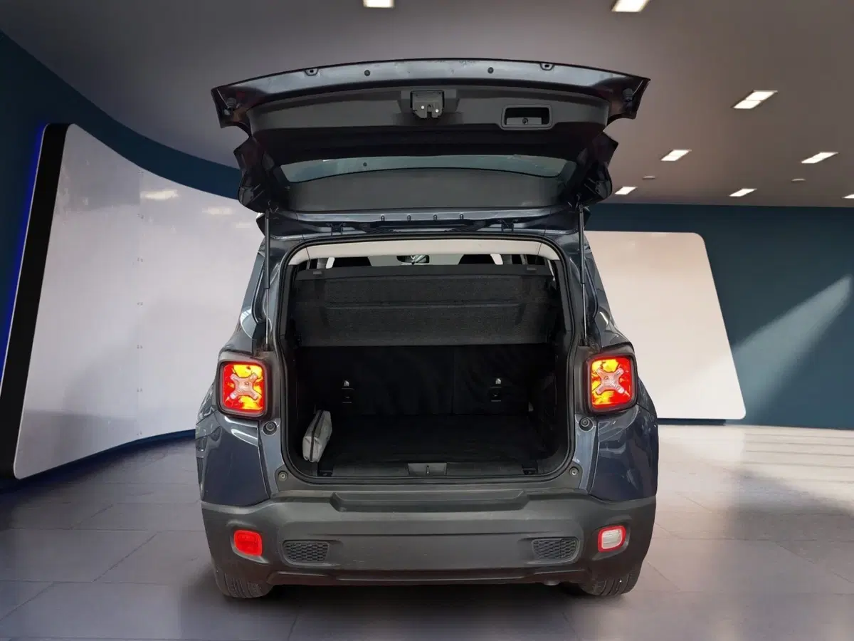 Jeep Renegade usata a Torino (8)