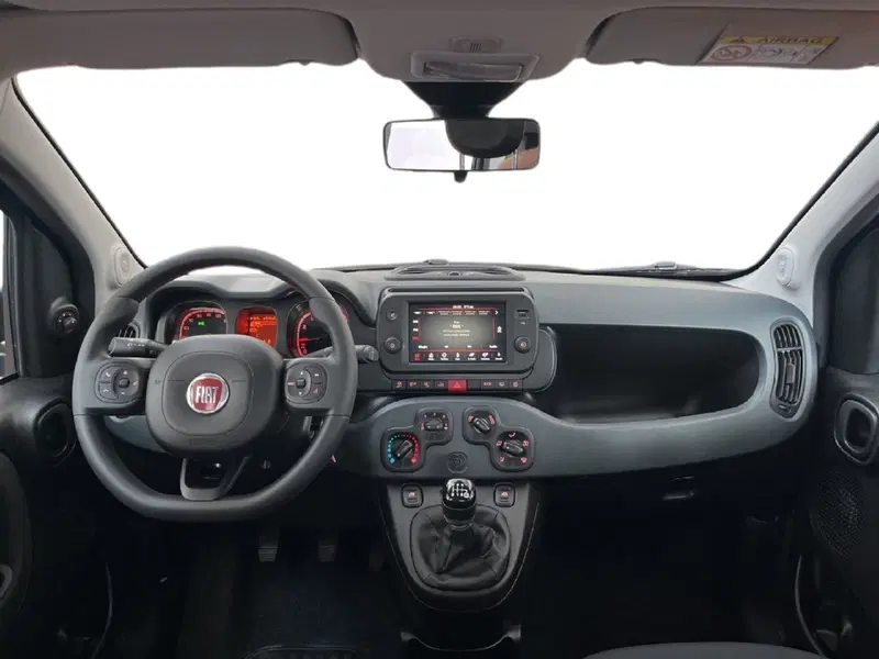 Fiat Panda Cross usata a Torino (10)