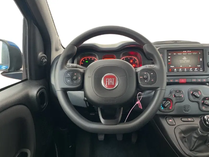 Fiat Panda Cross usata a Torino (11)