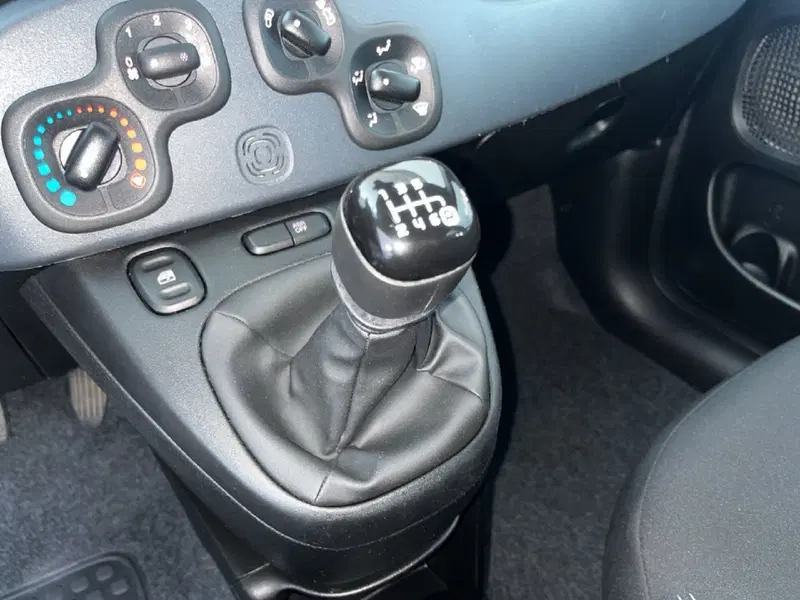 Fiat Panda Cross usata a Torino (12)