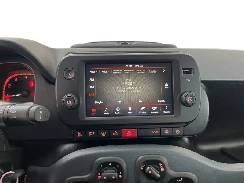 Fiat Panda Cross usata a Torino (13)