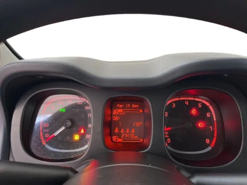 Fiat Panda Cross usata a Torino (14)