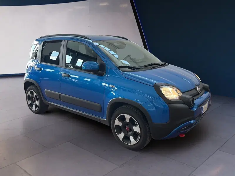Fiat Panda Cross usata a Torino (2)