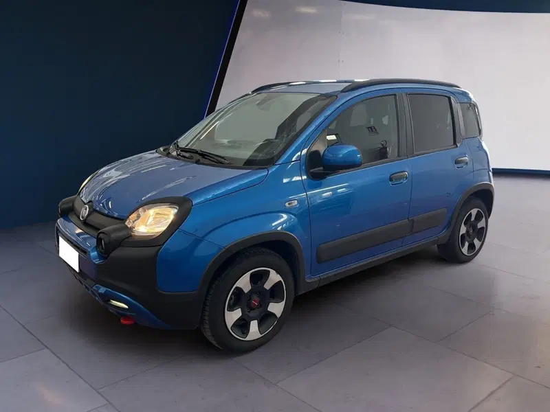 Fiat Panda Cross usata a Torino (3)
