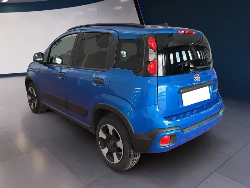 Fiat Panda Cross usata a Torino (4)