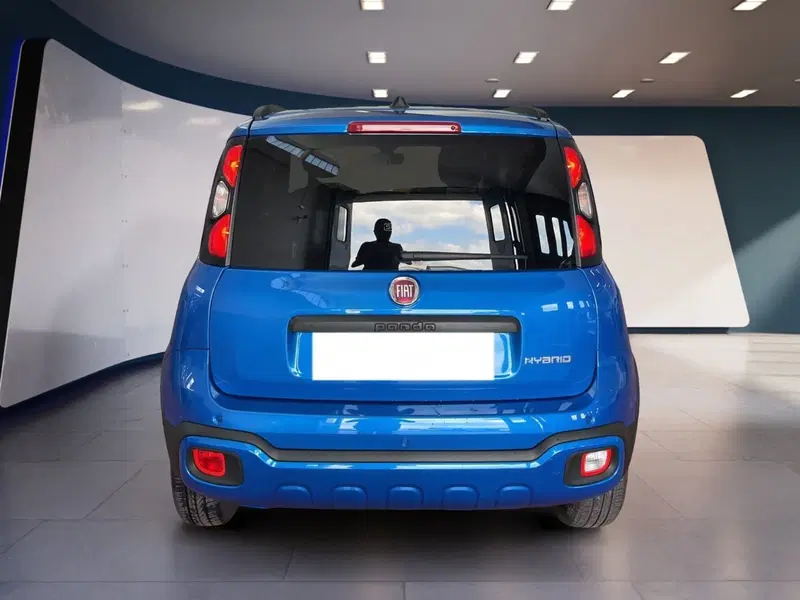 Fiat Panda Cross usata a Torino (5)