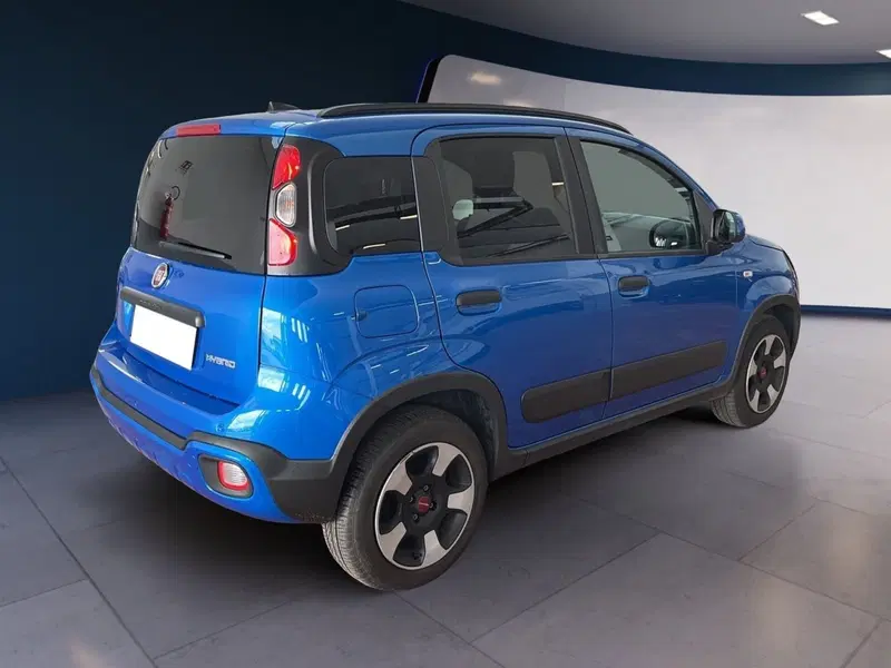 Fiat Panda Cross usata a Torino (6)