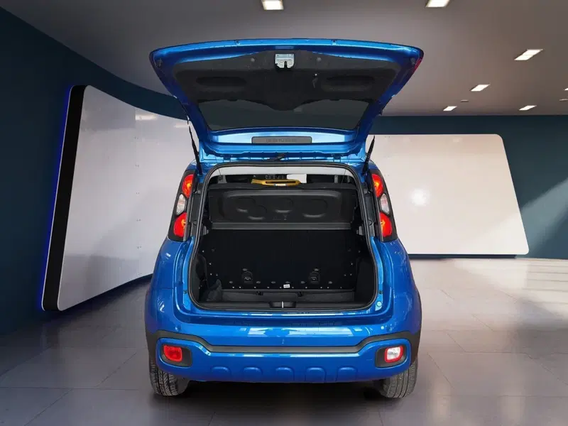 Fiat Panda Cross usata a Torino (7)