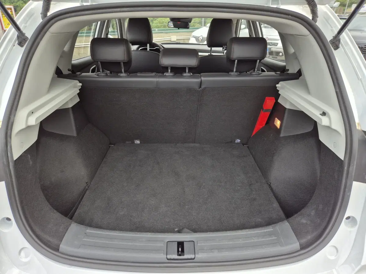 Mg ZS usata  (11)