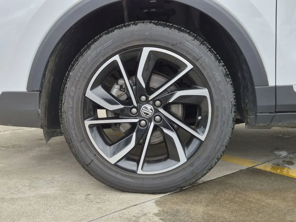 Mg ZS usata  (12)
