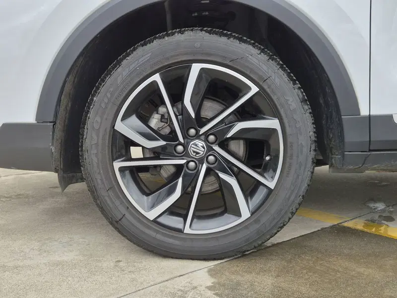 Mg ZS usata  (12)