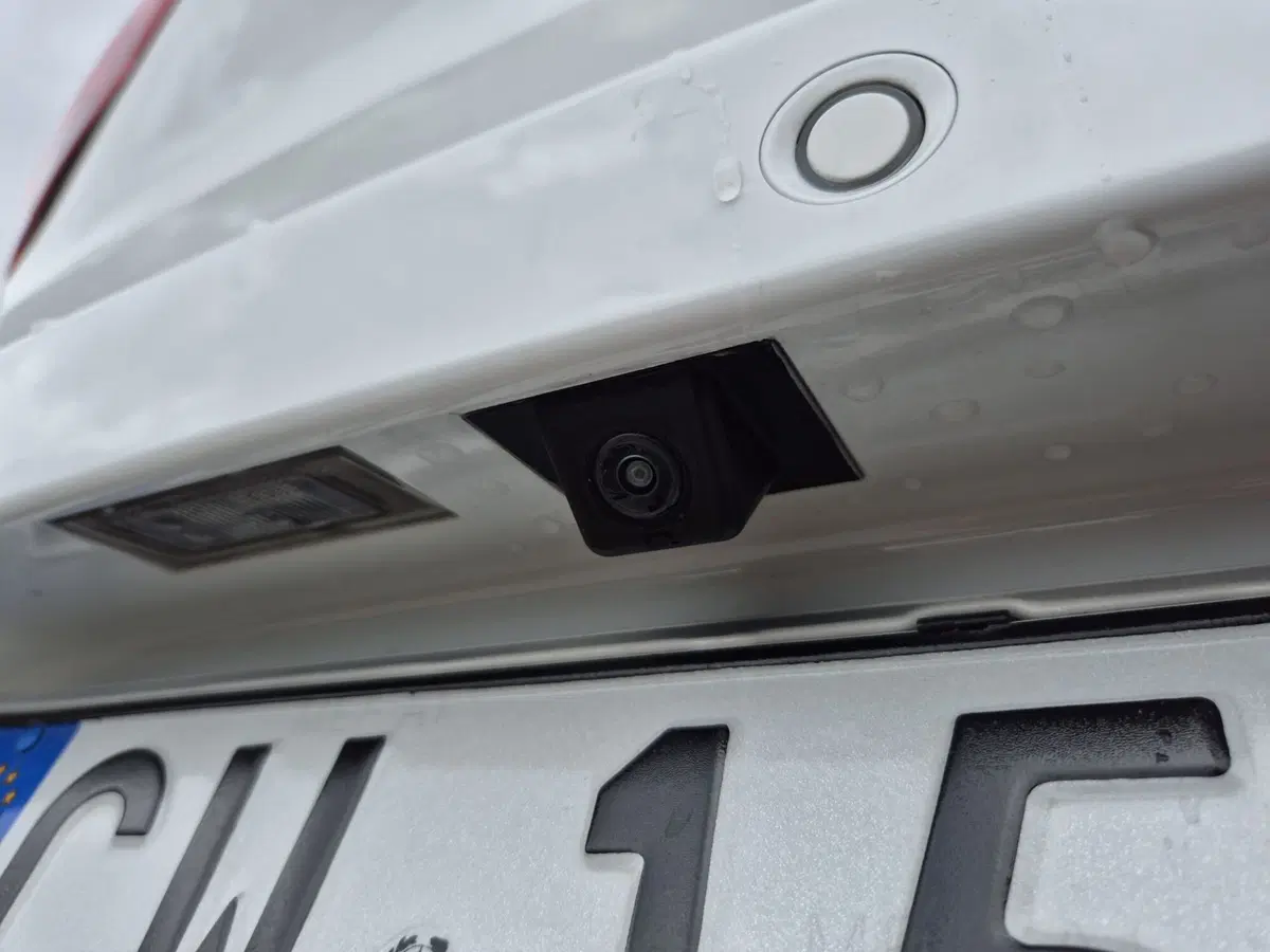 Mg ZS usata  (15)