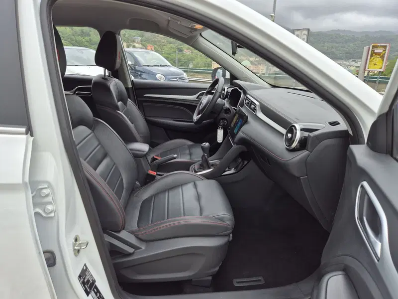 Mg ZS usata  (9)