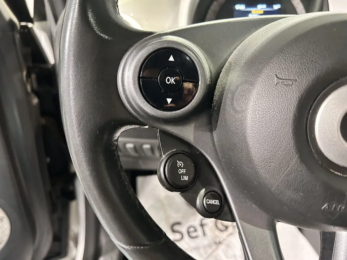smart Fortwo usata a Milano (10)