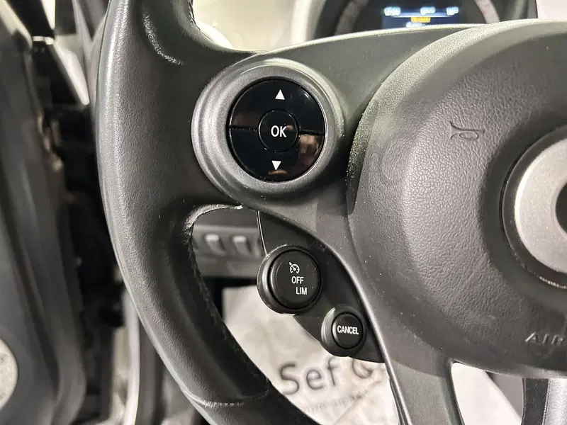smart Fortwo usata a Milano (10)
