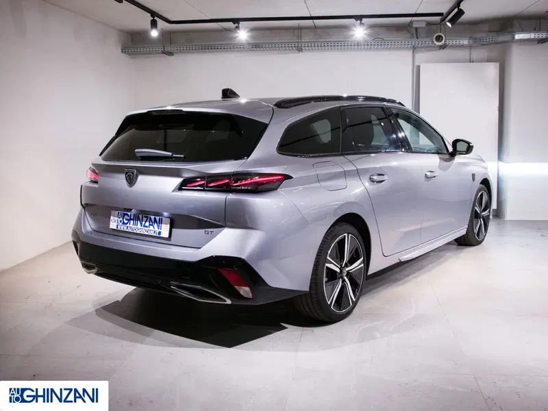 Peugeot 308 SW usata a Bergamo (7)