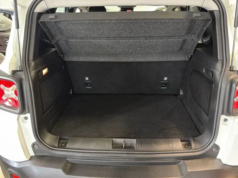Jeep Renegade usata a Pisa (13)