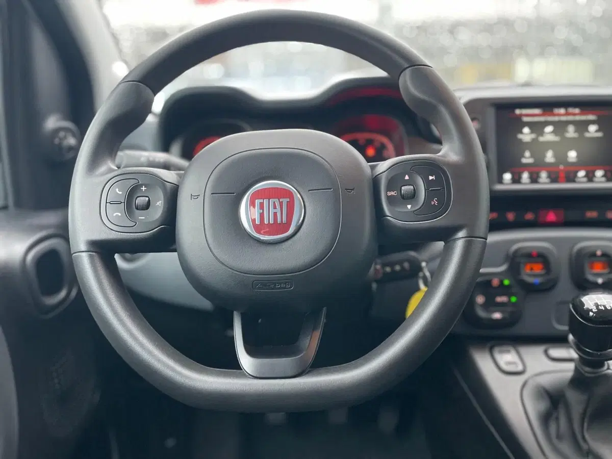 Fiat Panda Cross usata a Ancona (11)