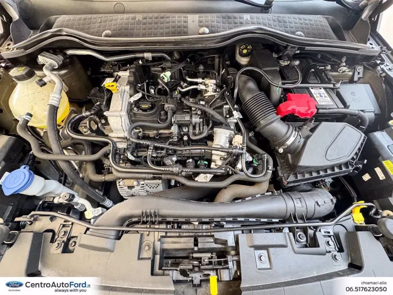 Ford Fiesta usata a Roma (12)