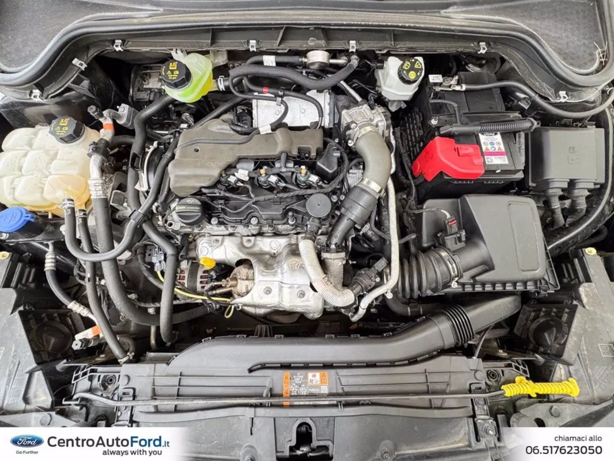Ford Focus usata a Roma (11)