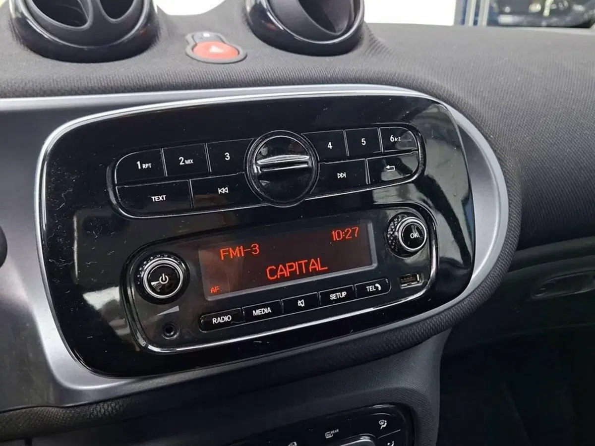 smart Fortwo usata a Torino (9)