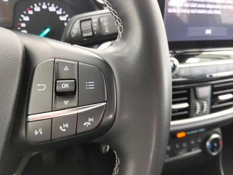 Ford Fiesta usata a Como (11)