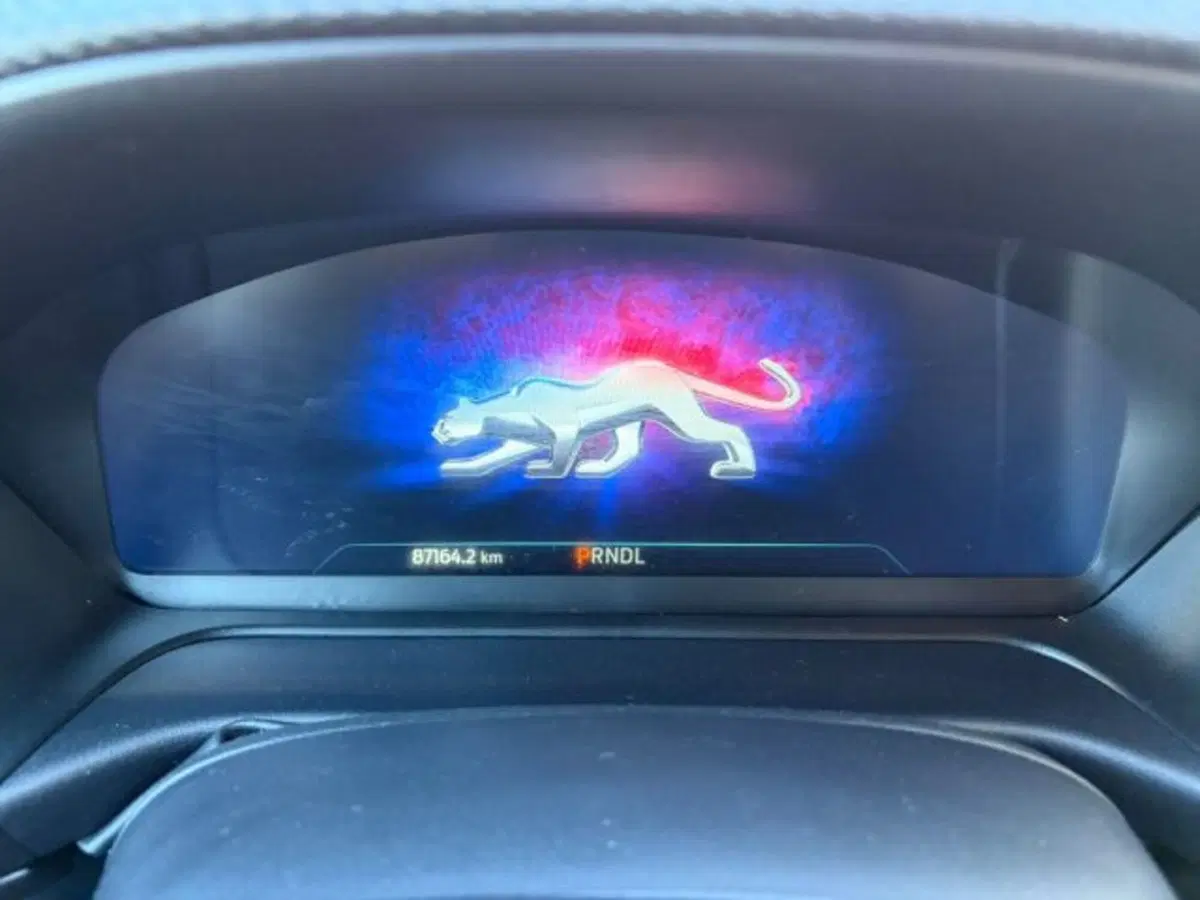 Ford Puma usata a Lodi (9)