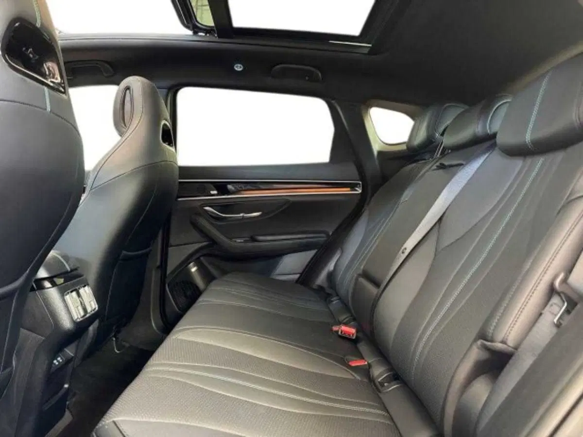 Byd Seal U DM-i  usata a Bologna (13)