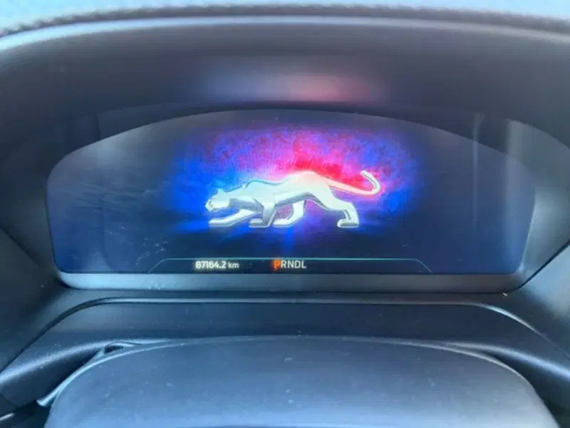 Ford Puma usata a Lodi (9)