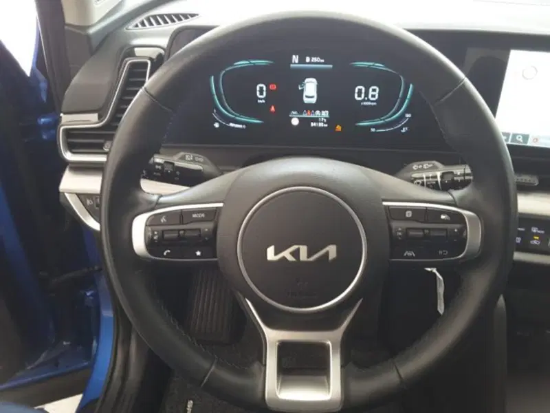 Kia Sportage usata a Firenze (7)
