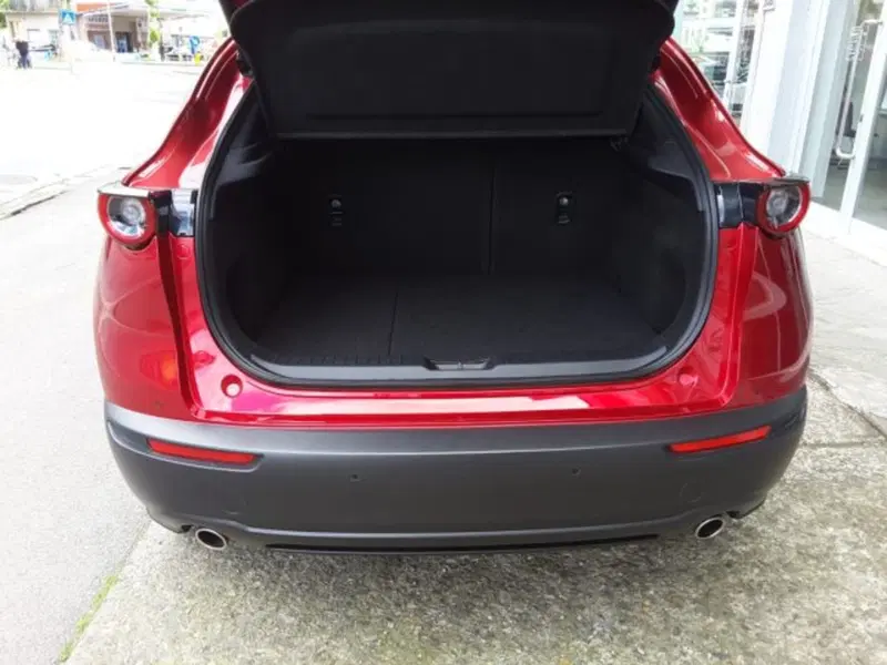 Mazda CX-30 usata a Firenze (14)