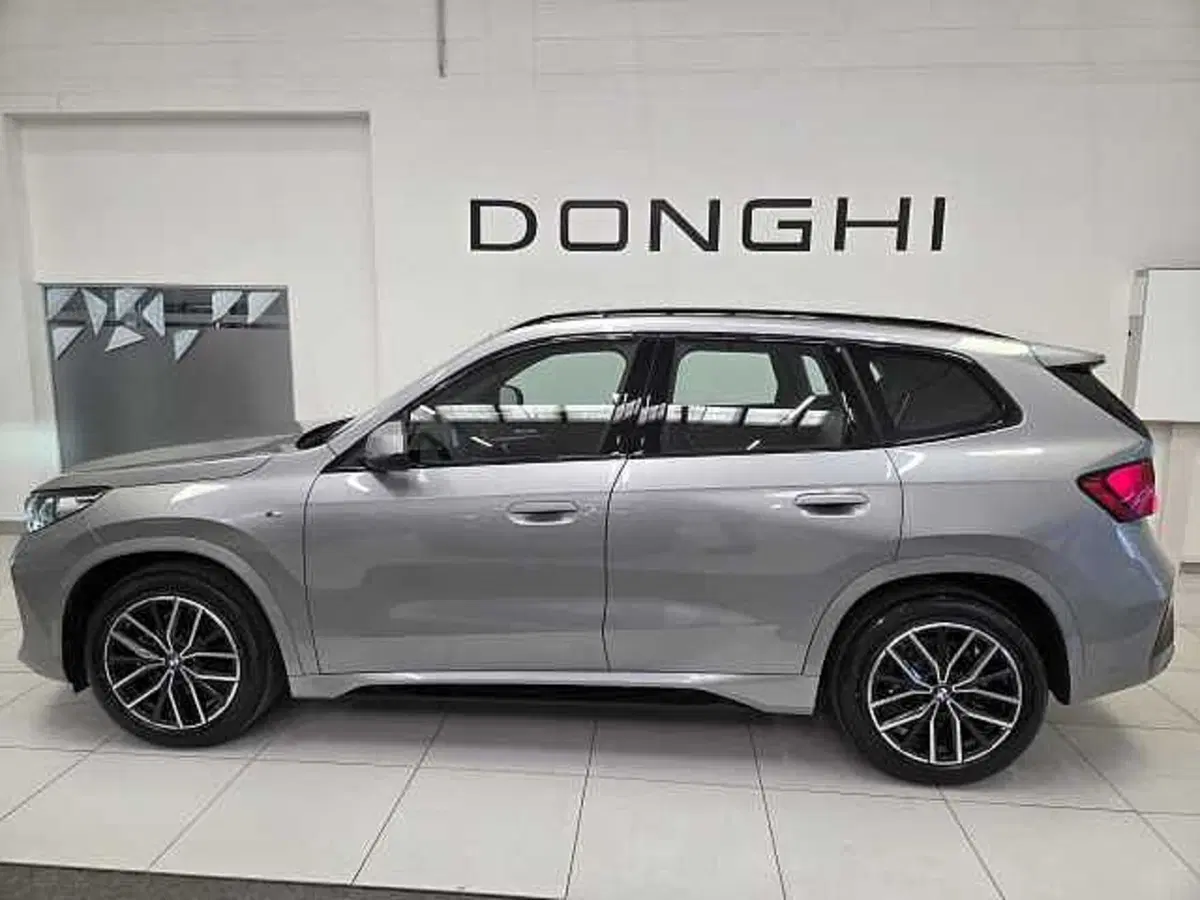 BMW X1 usata a Brescia (7)