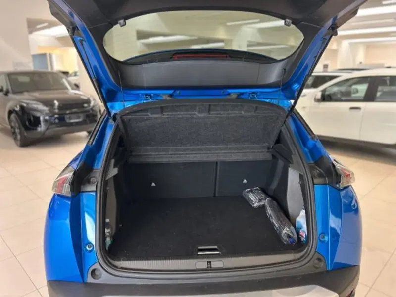 Peugeot 2008 usata a Modena (14)