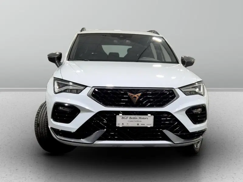 Cupra Ateca usata a Padova (7)