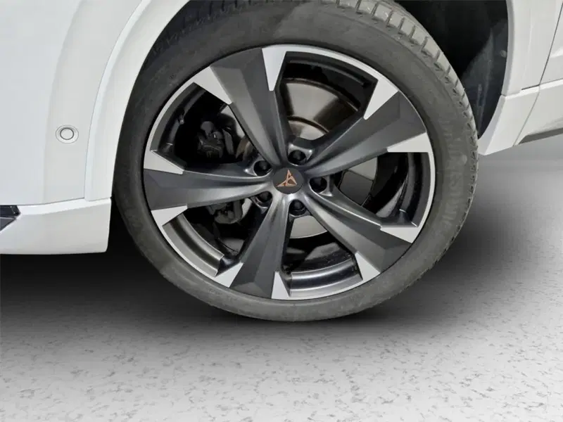Cupra Ateca usata a Padova (9)