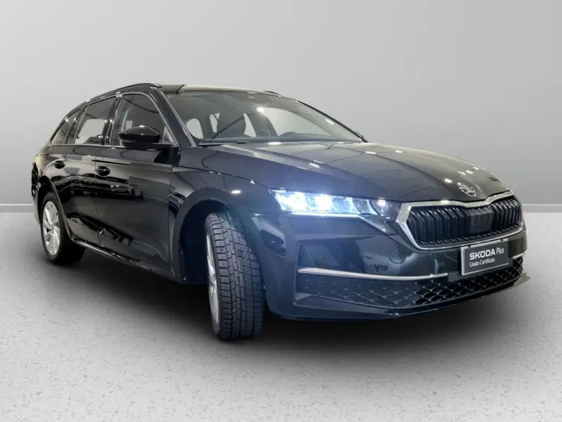Skoda Octavia Station Wagon usata a Padova (6)