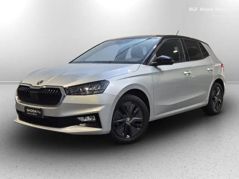 Skoda Fabia usata a Padova