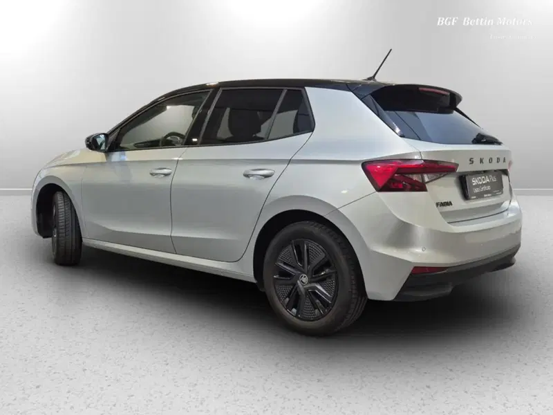 Skoda Fabia usata a Padova (3)