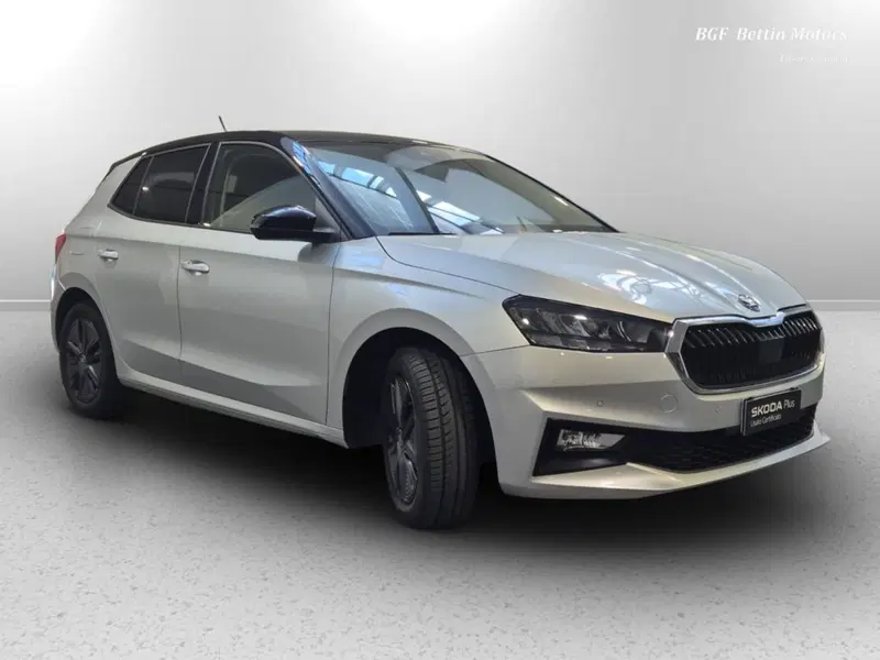 Skoda Fabia usata a Padova (4)
