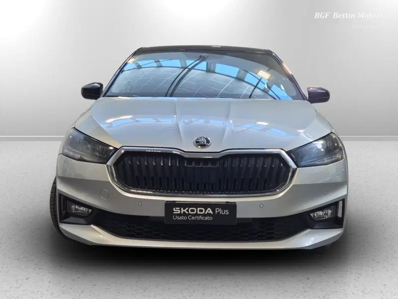 Skoda Fabia usata a Padova (7)