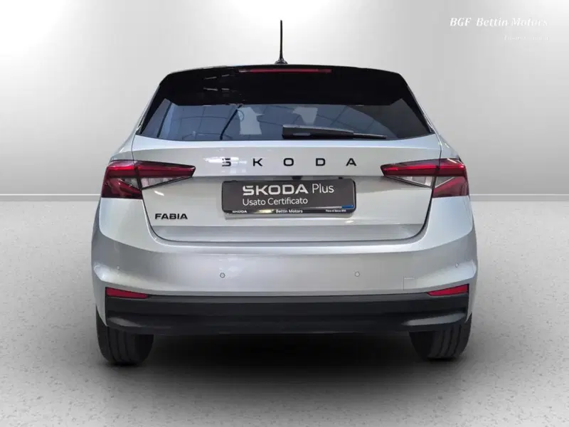 Skoda Fabia usata a Padova (8)