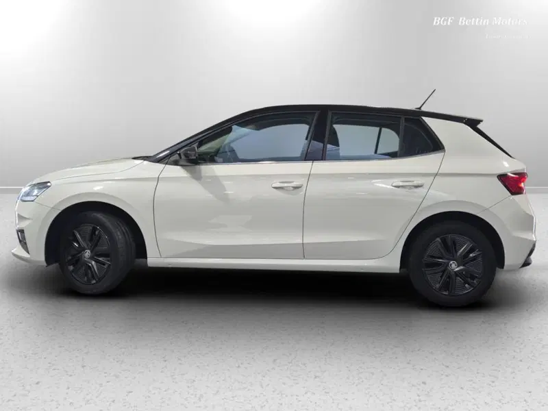 Skoda Fabia usata a Padova (2)