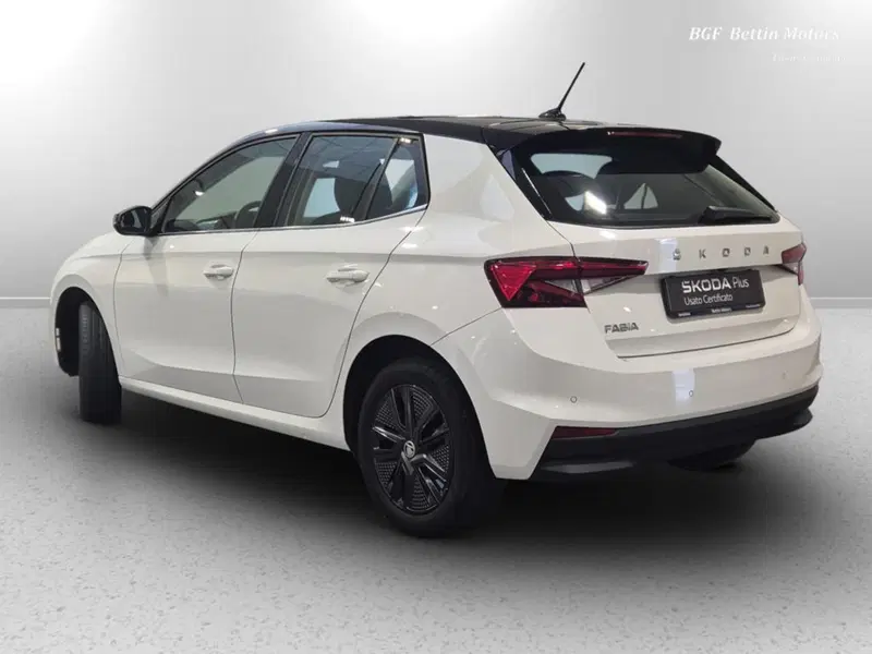 Skoda Fabia usata a Padova (3)